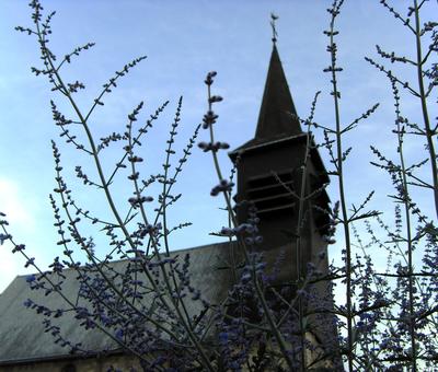 Eglise St Géry - XIe-XVIe