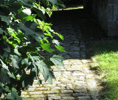 Randonnée en patrimoine et en musique