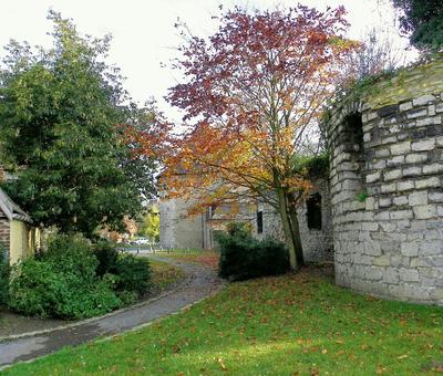 Condé-sur-l'Escaut