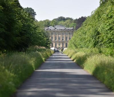 Forêt de Bonsecours - Hermitage