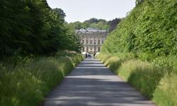 Forêt de Bonsecours - Hermitage