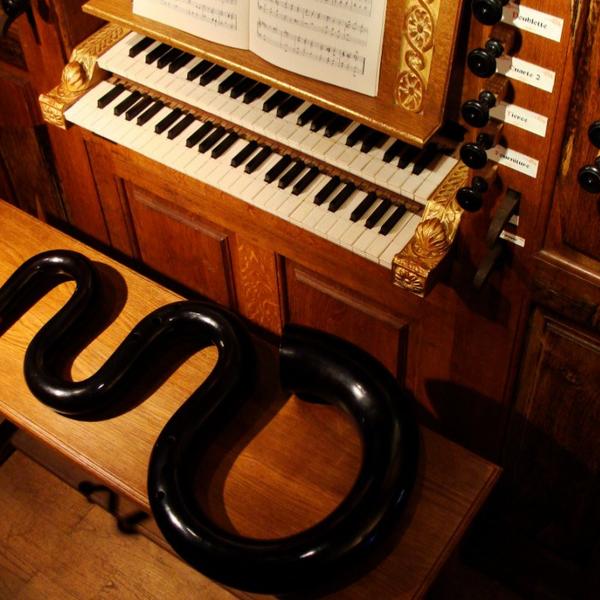 serpent-et-console-orgue-mont-saint-aignan