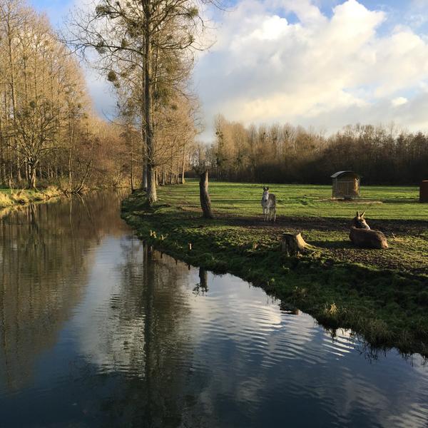 Vallée de l'Authie